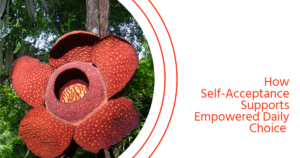 How Self-Acceptance Supports Empowered Daily Choice