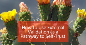 How to Use External Validation as a Pathway to Self-Trust
