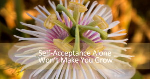 Self-Acceptance Alone Won’t Make You Grow