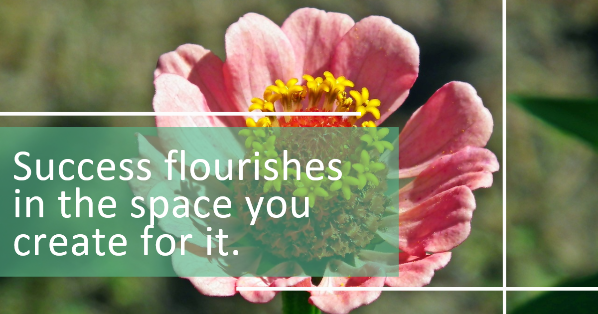 Success flourishes in the space you create for it.