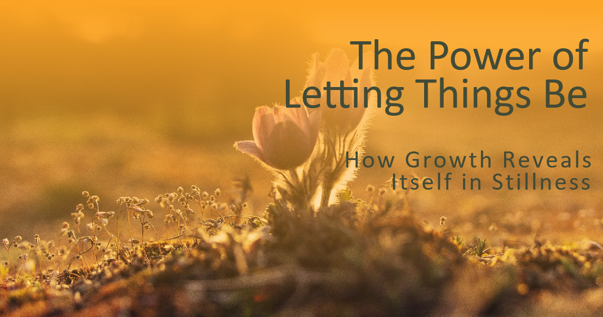 The Quiet Power of Letting Things Be: How Growth Happens in Stillness. Some shifts arrive the moment awareness expands.