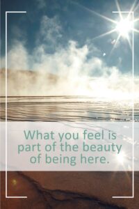 Feel What’s Here: A Soft Landing in the Middle of the Day