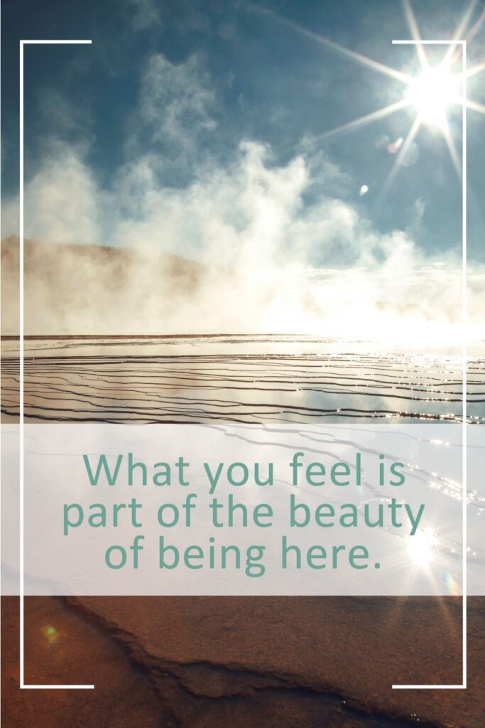 Feel What’s Here: A Soft Landing in the Middle of the Day
