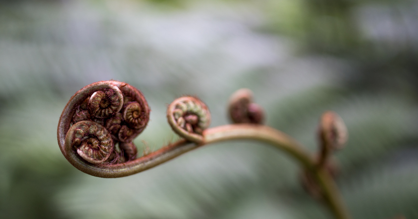 Your Unfolding Self