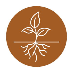 Foundations of Inner Alignment & Capacity Building