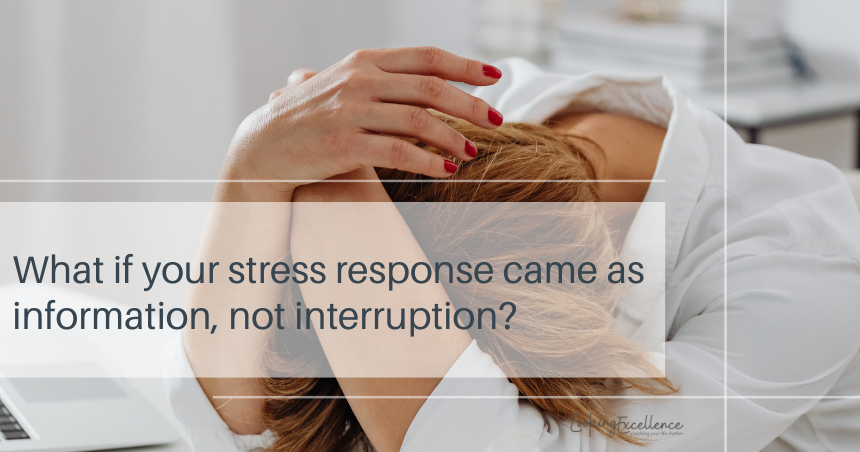 When Stress Speaks The Signal Your Body Wants You to Hear.Evoking Excellence. Life Coaching