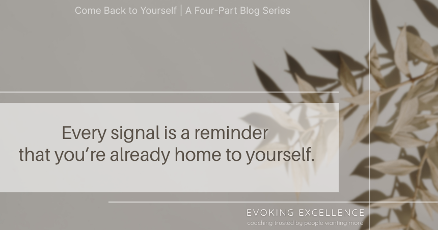 Your Body Has Been Showing You the Way the Whole Time