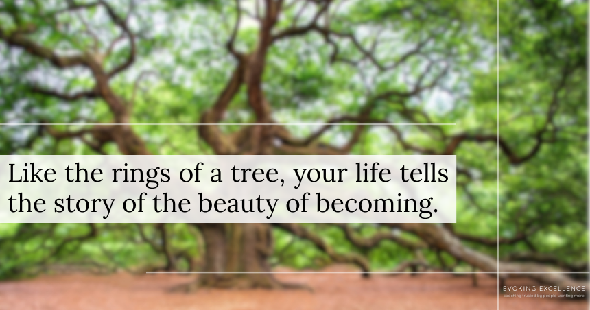 "Like the rings of a tree, your life tells the story of the beauty of becoming.